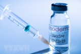 Australia tiêm vaccine của Moderna cho trẻ em từ 12 tuổi