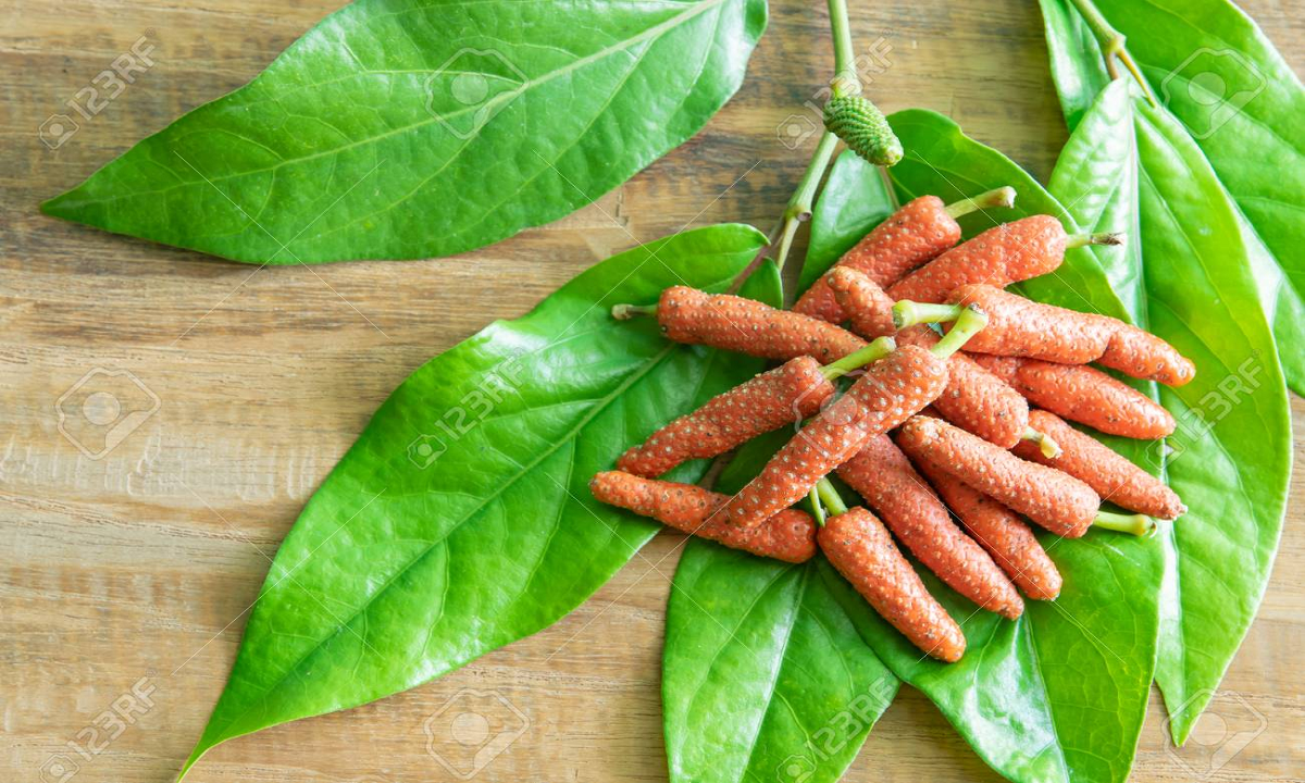 Mẹo phục hồi sau COVID-19 kéo dài của hệ thống y học Hindu cổ truyền Ayurveda