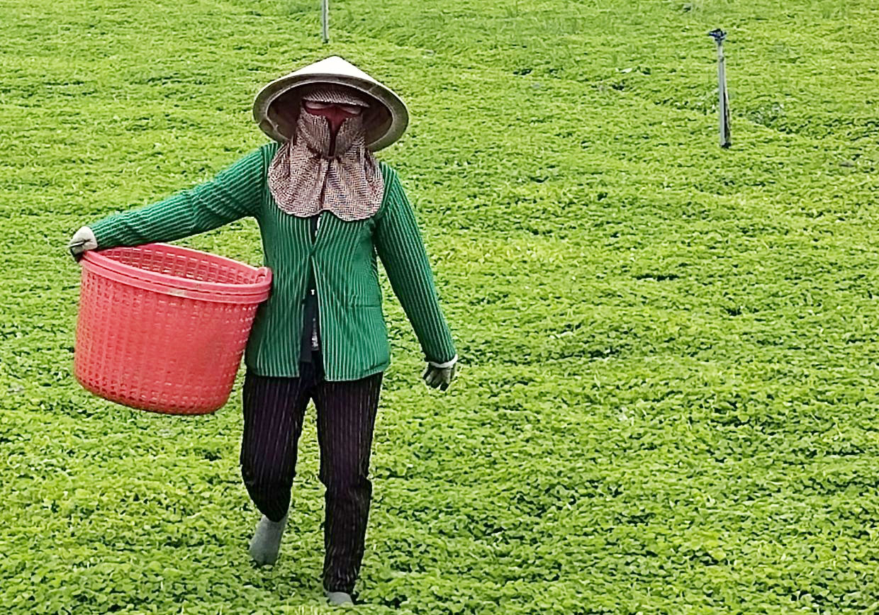 Các địa phương vùng Đồng Tháp Mười sẵn sàng ứng phó thiên tai