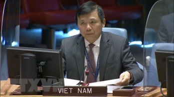 Vietnamese ambassador urges end to all military actions in Yemen Vietnamese ambassador urges end to all military actions in Yemen