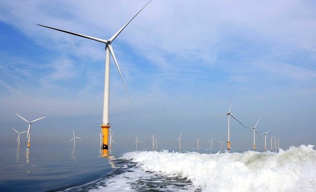 Vietnam has substantial potential for offshore wind power: report Illustrative image (Photo: VNA)