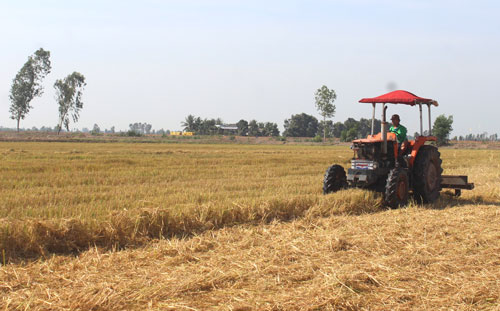 Phấn đấu vì vụ mùa thắng lợi