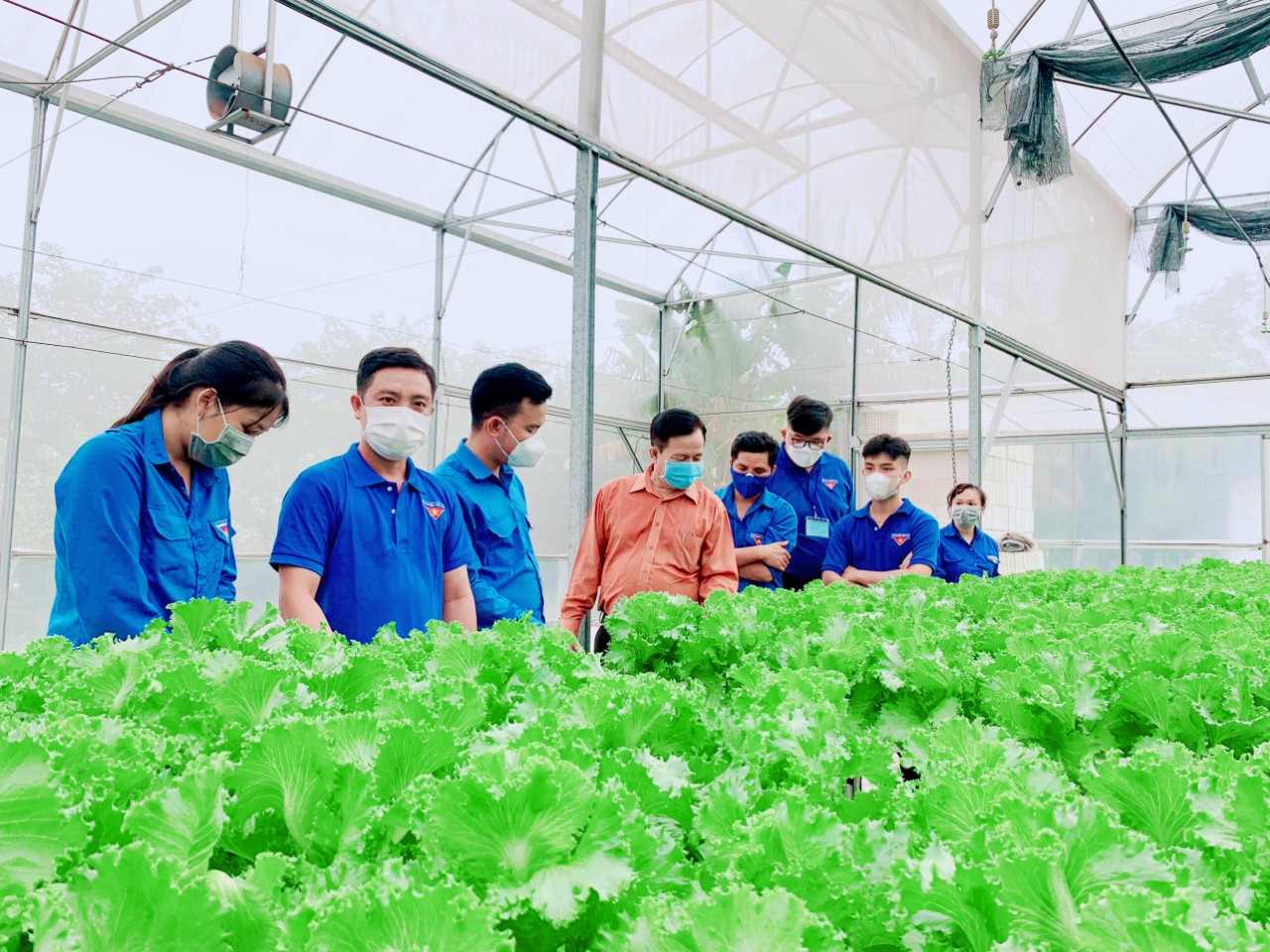 Agriculture sector focuses on implementing production recovery plan Currently, Long An is continuing to implement the project of the program on agricultural development with hi-tech application in association with the restructuring of the agriculture sector in the province in the period 2021-2025