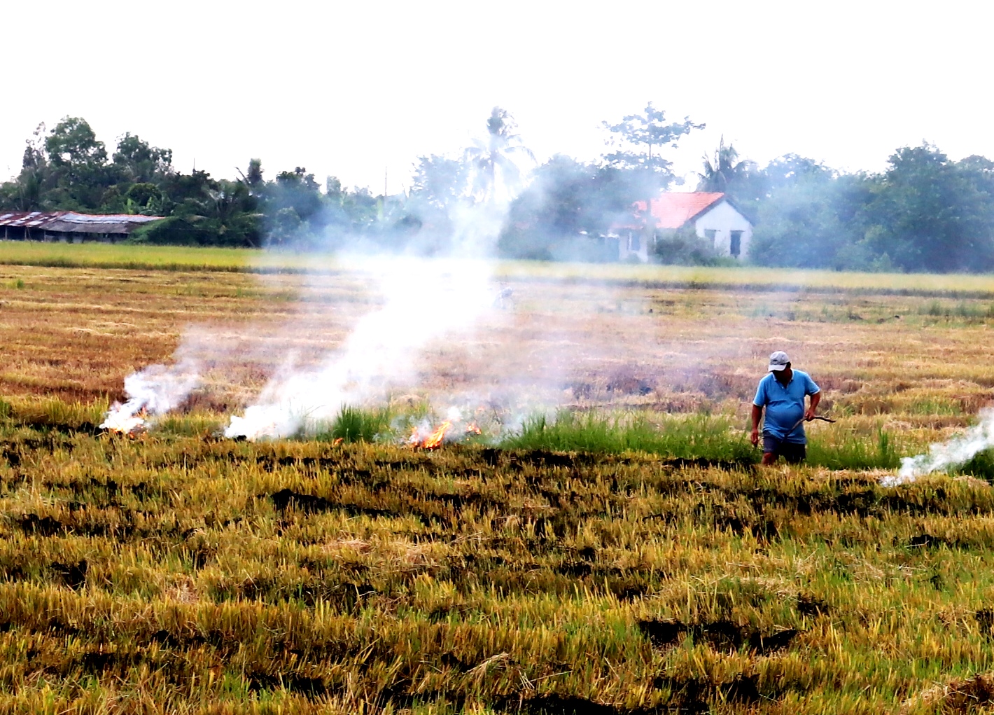 Nông dân đốt đồng chuẩn bị sản xuất vụ Thu Đông