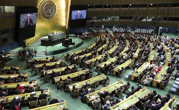 Vietnam supports equitable COVID-19 vaccine distribution, human rights protection At a meeting of the UN (Photo: VNA)