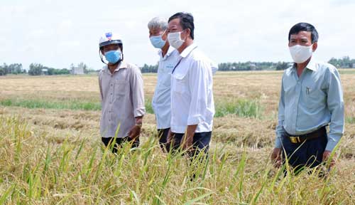 Tháo gỡ khó khăn, phục hồi nền nông nghiệp sau đại dịch (Bài 1)