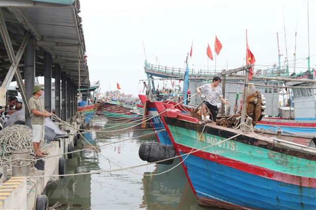 Người dân neo đậu tàu thuyền chắc chắn phòng tránh bão số 7. (Ảnh: Nguyễn Oanh/TTXVN)