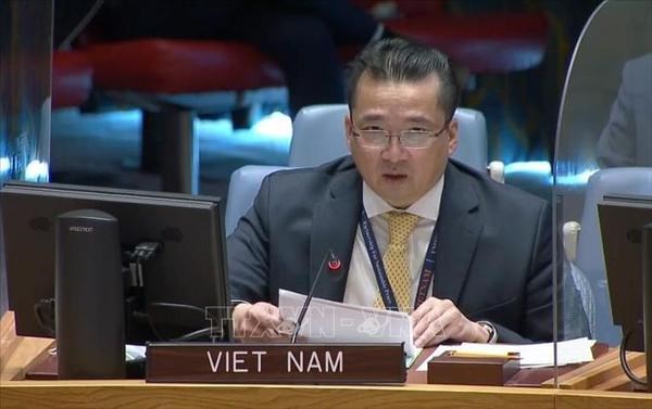 Deputy Permanent Representative of Vietnam to the United Nations Ambassador Pham Hai Anh. (Photo: VNA)