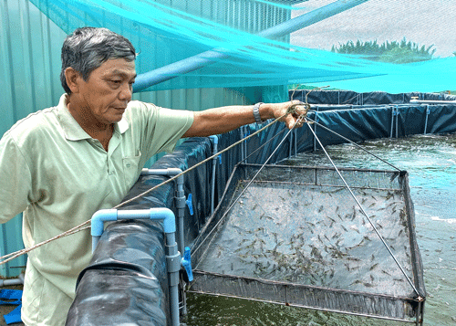 Những nông dân dám nghĩ, dám làm