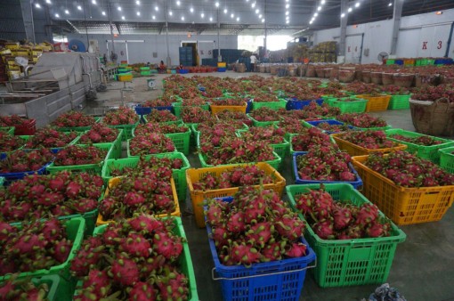 Agricultural products connected to consume during epidemic season Agricultural products connected to consume during epidemic season