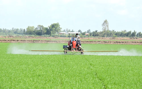 The Autumn-Winter crop 2021 and Winter-Spring crop 2021-2022 are focused on producing efficiently 