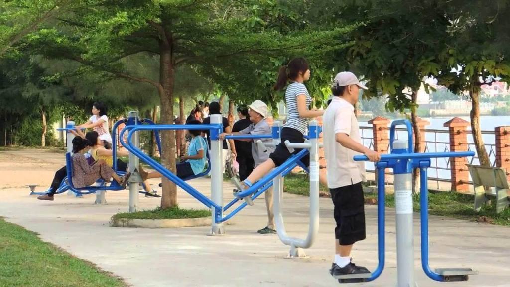Sỏi túi mật: Dấu hiệu, nguyên nhân và điều trị