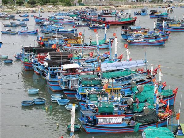 Kien Giang fishermen receive support to resume operations Kien Giang is one of the coastal localities that are strong in fishing with a large fishing vessel fleet (Photo: VNA)