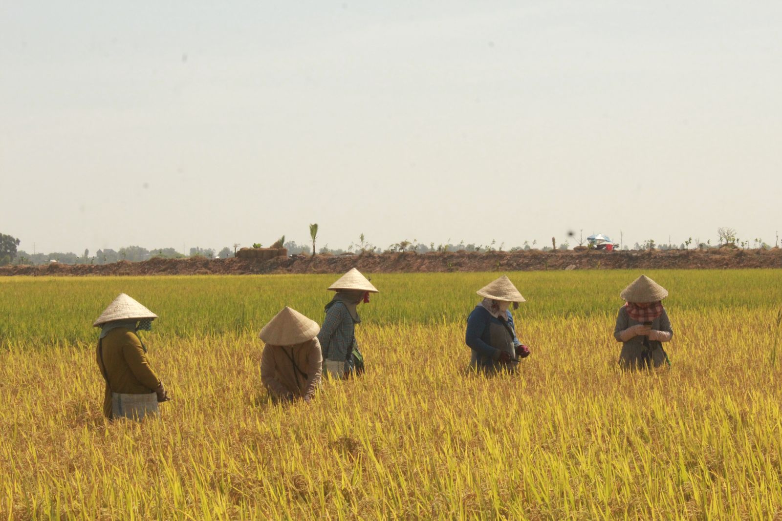 10 năm thi hành Luật Hợp tác xã năm 2012: Tạo đà cho hợp tác xã phát triển http://Thời gian qua, tỉnh có nhiều chính sách ưu đãi, tạo điều kiện cho hợp tác xã phát triển và hoạt động hiệu quả