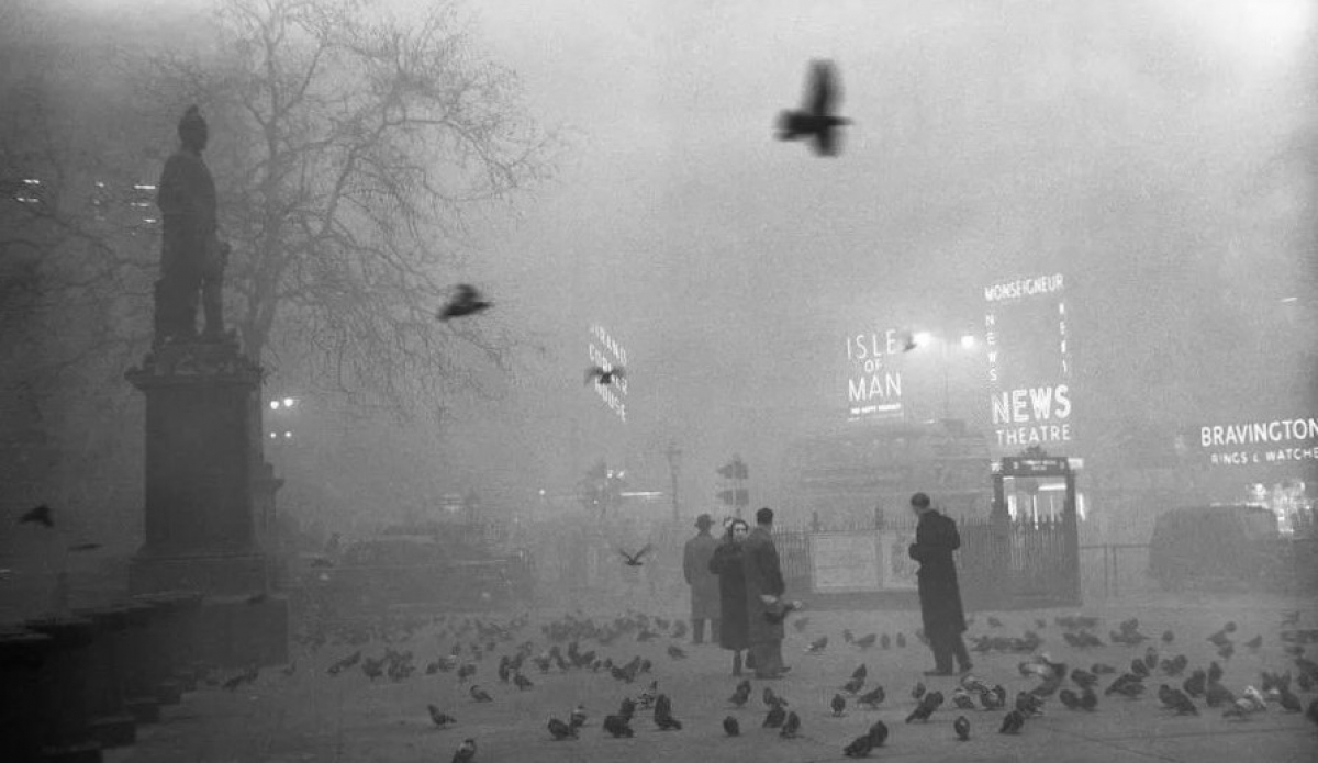 Màn sương khói khổng lồ năm 1952 đã gây ra nhiều tổn thất cho Lodon; Nguồn: Historyofyesterday