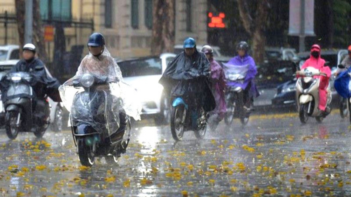 Khu vực Hà Nội ngày và đêm nay (31/10) có mưa vừa, có nơi mưa to, trời lạnh.