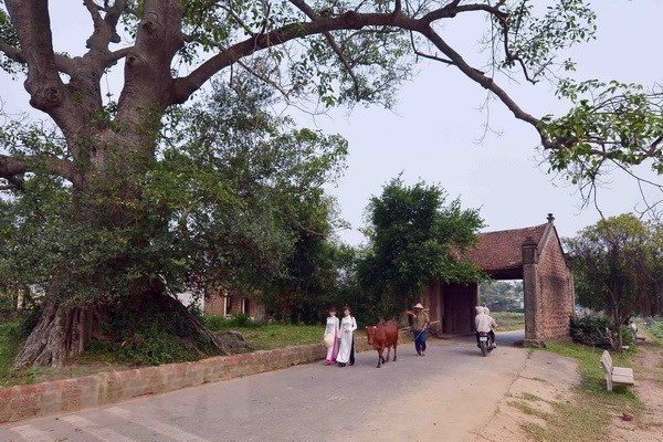 Local tourist attractions becoming popular among Hanoians The gate to Duong Lam ancient village, a popular tourist destination in the suburbs of Hanoi. (Photo: VNA)