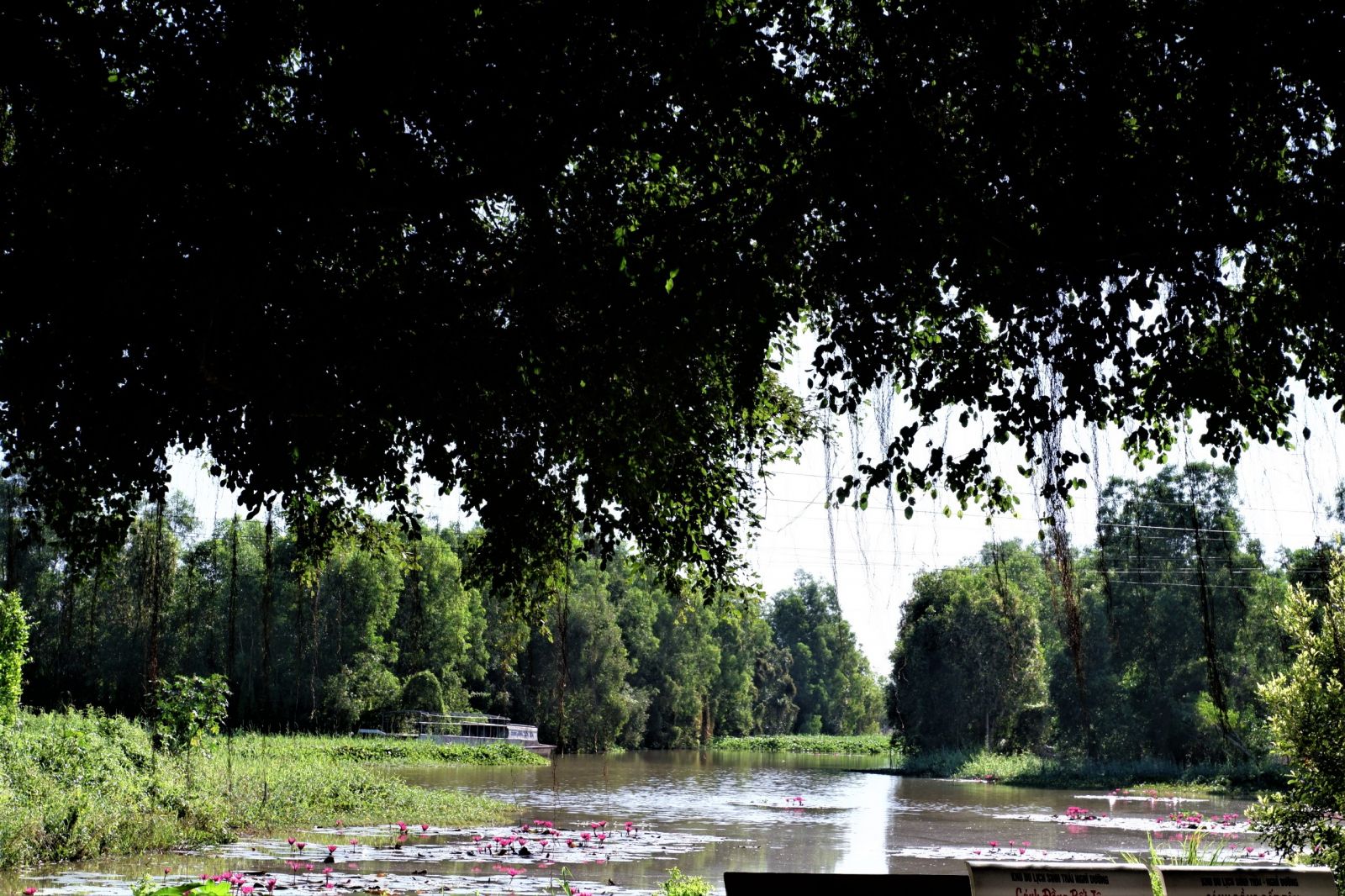 Endless Field Tourism Area: ideal tourism destination after Covid-19 epidemic A corner at the Endless Field Tourism Area
