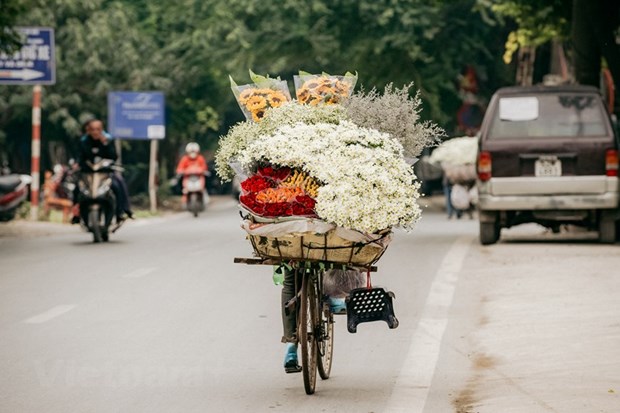 Miền Bắc trời nắng hanh trong những ngày cuối tuần. (Nguồn: Vietnam+)