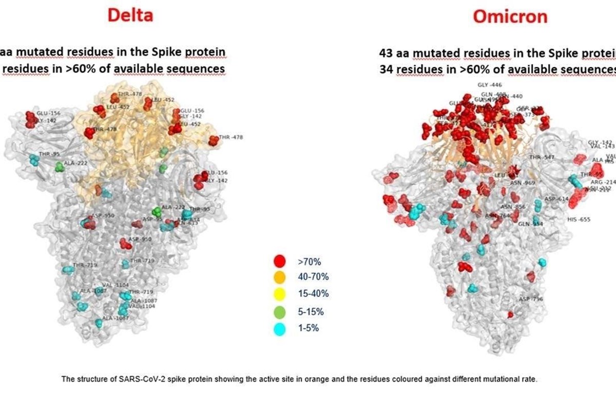 Việt Nam phối hợp với WHO, CDC Hoa Kỳ ứng phó biến chủng Omicron Các nhà khoa học Italy công bố hình ảnh của biến thể Omicron. (Ảnh: Sputnik/ TTXVN)