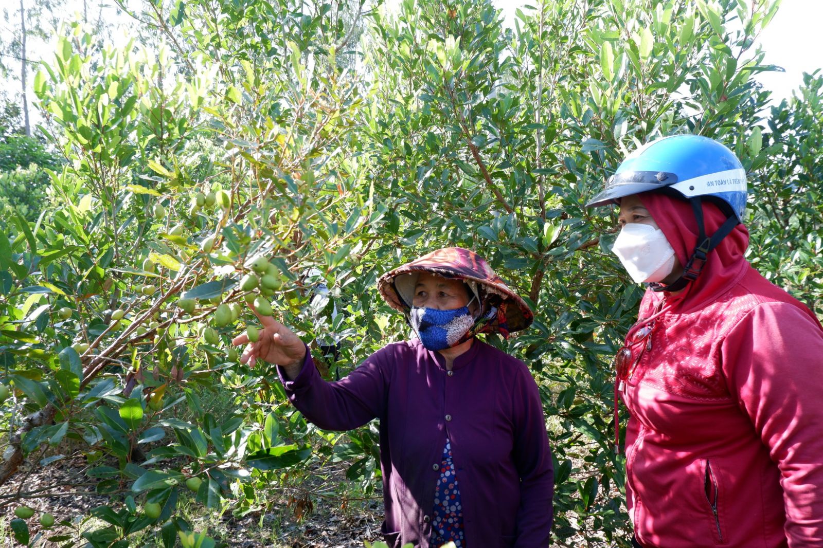 Nhờ nguồn vốn tín dụng chính sách, nhiều phụ nữ vươn lên thoát nghèo, ổn định cuộc sống