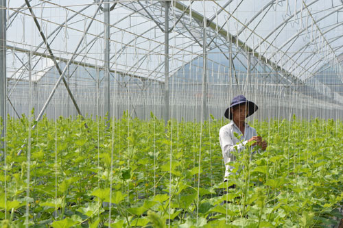 The Agriculture and Rural Development Sector focuses on developing hi-tech agriculture