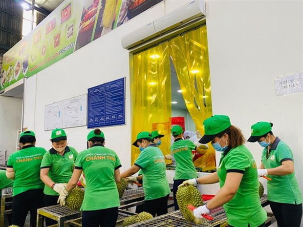 A fruit processing plant in the Mekong Delta. (Photo: nld.com.vn)