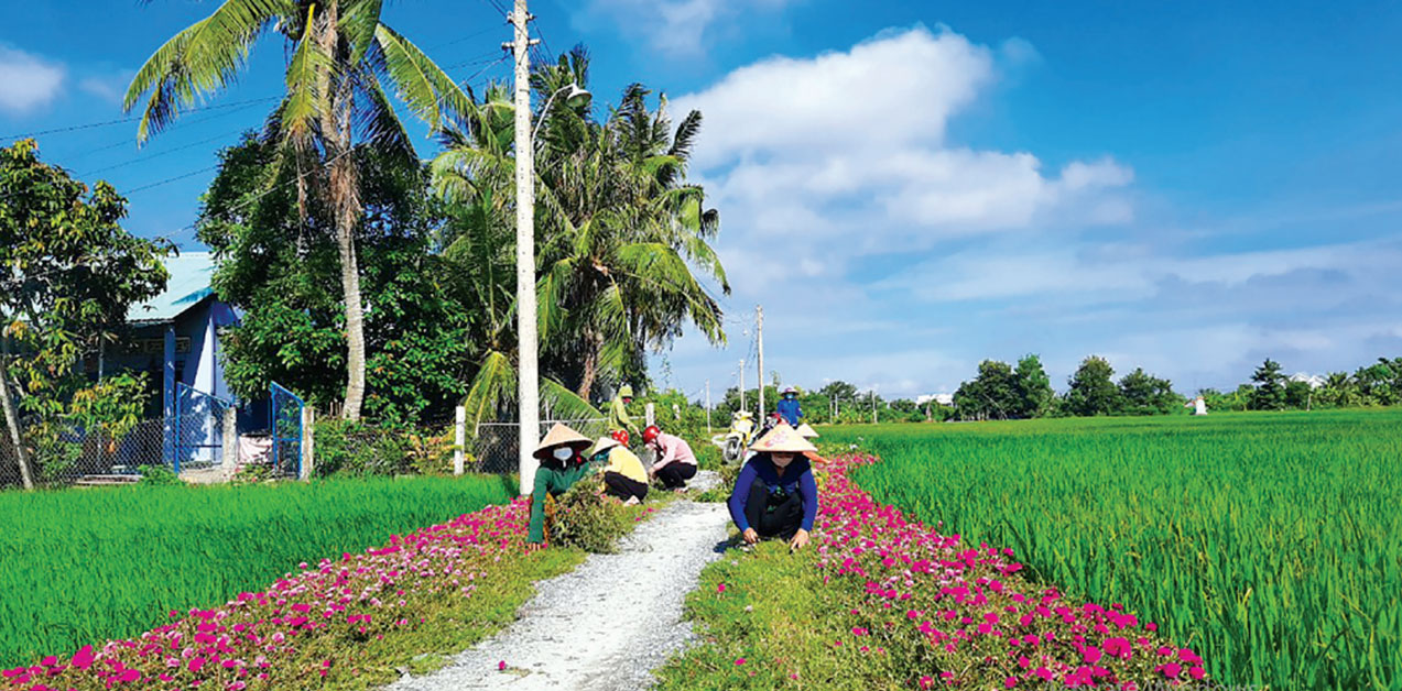 Hội Liên hiệp Phụ nữ xã Tân Trạch, huyện Cần Đước ra quân làm cỏ, chăm sóc hoa Tuyến đường xanh, sạch, đẹp của Hội tại ấp 4A