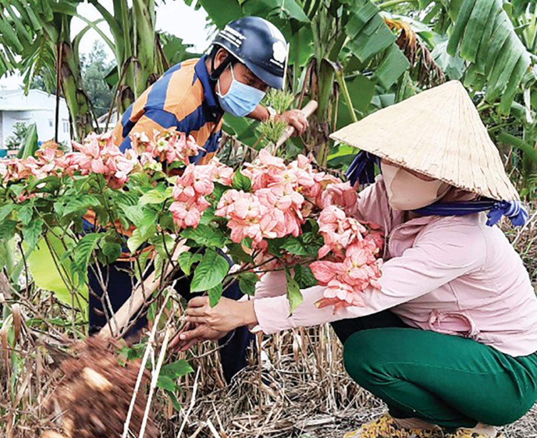 Hội viên, phụ nữ xã Thủy Đông phối hợp trồng hoa trên các tuyến đường