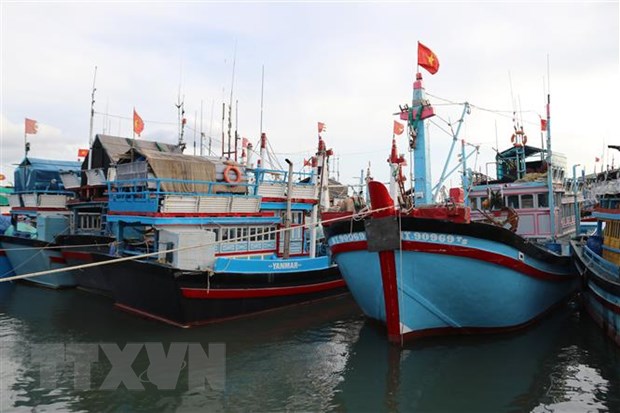 Tàu thuyền neo đậu tránh bão tại cảng cá Cà Ná (xã Cà Ná, huyện Thuận Nam). (Ảnh: Nguyễn Thành/TTXVN)
