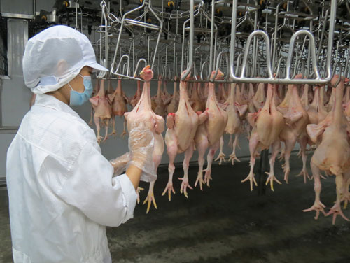 FDI investors have many good impressions about investment environment in Long An Workers produce at the factory of LeBoucher Co., Ltd