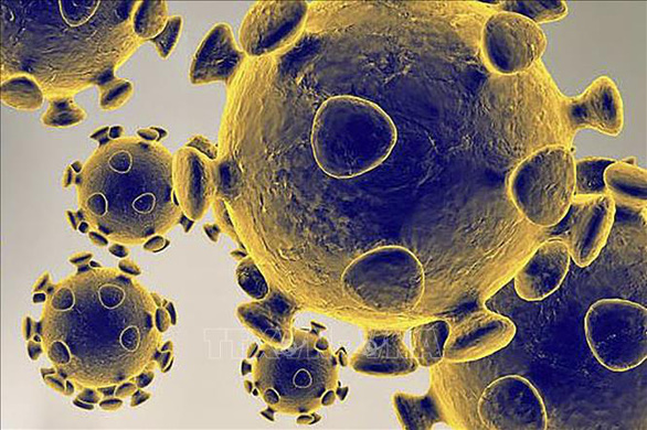 Hình ảnh do Cơ quan Dược phẩm và Thực phẩm Mỹ cung cấp về virus SARS-CoV-2 gây dịch viêm đường hô hấp cấp COVID-19 - Ảnh: AFP/TTXVN
