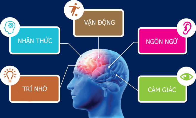 Trẻ bị sang chấn tâm lý, hậu quả của nạn bạo hành