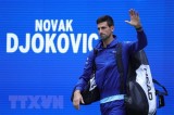 Chính phủ Australia tạm hoãn trục xuất tay vợt Novak Djokovic