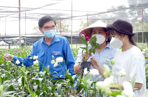 Làm giàu từ mô hình trồng phong lan #8 Làm giàu từ mô hình trồng phong lan