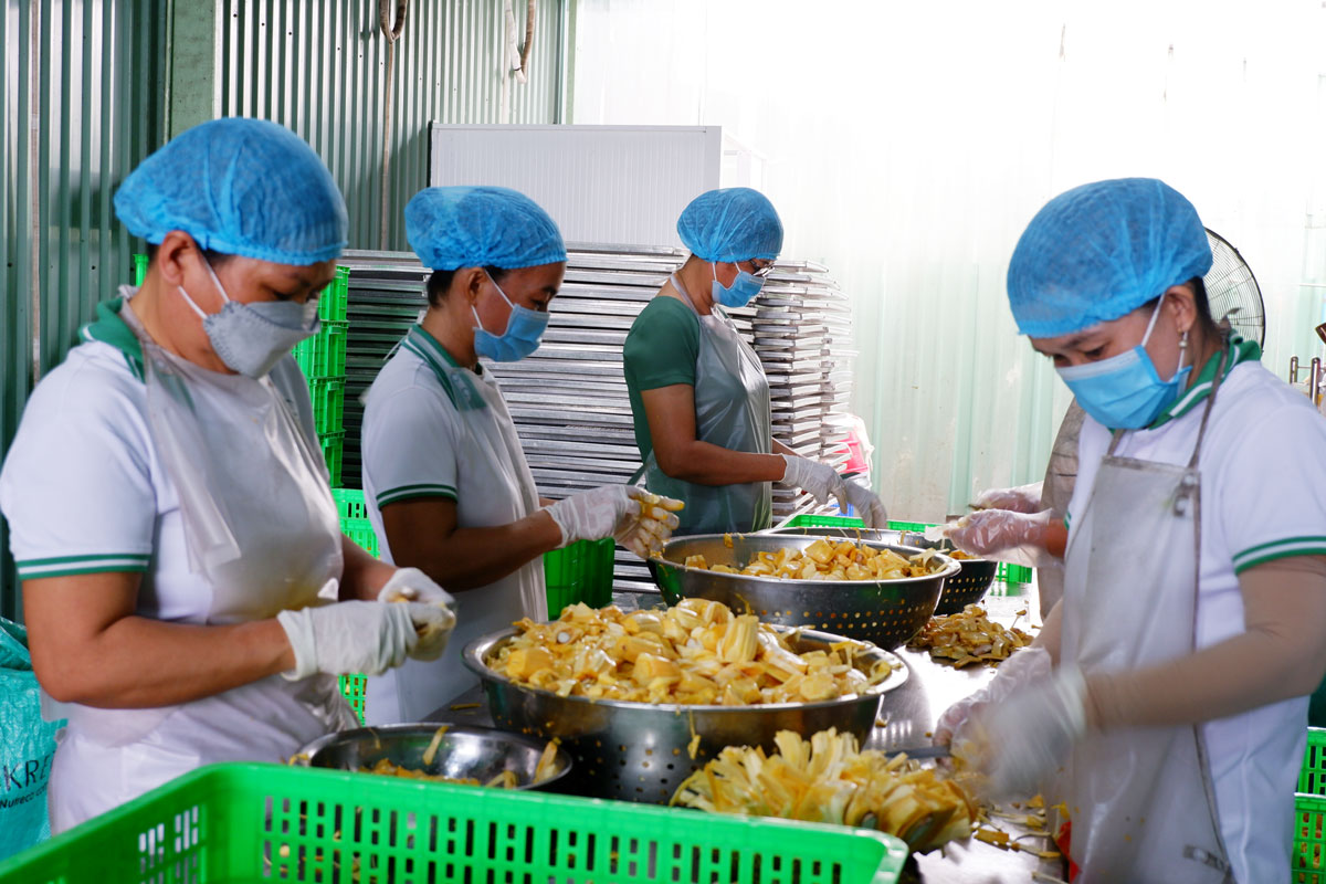 Việc sản xuất trái cây sấy là một trong những giải pháp góp phần nâng tầm nông sản Việt