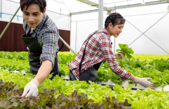 Vợ thích là chồng 'nhích' ngay Vợ thích là chồng 'nhích' ngay