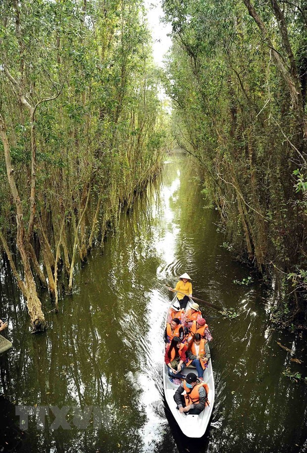 Tan Lap floating village – attractive destination in Long An Tourists visit the flooded Melaleuca forest at Tan Lap floating village tourist site. (Photo: VNA)