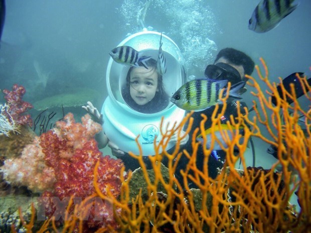Phu Quoc pearl island – tourist paradise of tropical region A visitor dives to see coral in Phu Quoc (Photo: VNA)