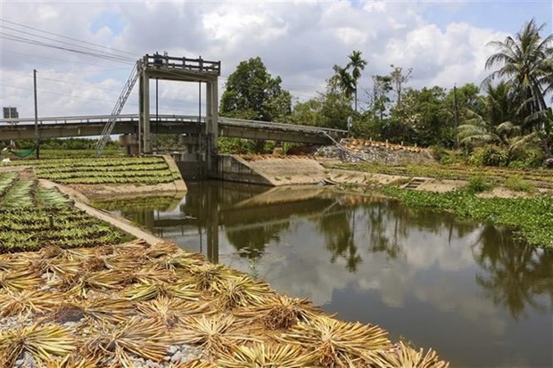Đồng bằng sông Cửu Long: Xâm nhập mặn mùa khô năm 2022 ở mức cao Cống ngăn mặn Kênh Năm, xã Hỏa Tiến, thành phố Vị Thanh. (Ảnh: Duy Khương/TTXVN)