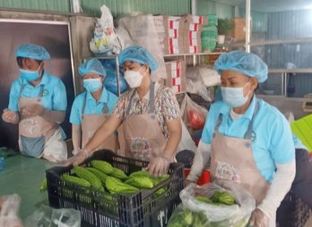 Hợp tác xã Nông nghiệp Mỹ Thạnh: Mang nông sản sạch, an toàn đến với người tiêu dùng Hợp tác xã Nông nghiệp Mỹ Thạnh: Mang nông sản sạch, an toàn đến với người tiêu dùng