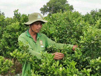 Huy động sức dân xây dựng nông thôn mới Huy động sức dân xây dựng nông thôn mới