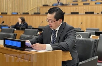 UN Charter important basis for int’l community’s actions: Vietnamese Ambassador UN Charter important basis for int’l community’s actions: Vietnamese Ambassador