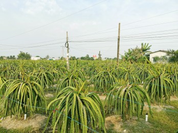 Giữ vững thành tích hoàn thành xuất sắc nhiệm vụ