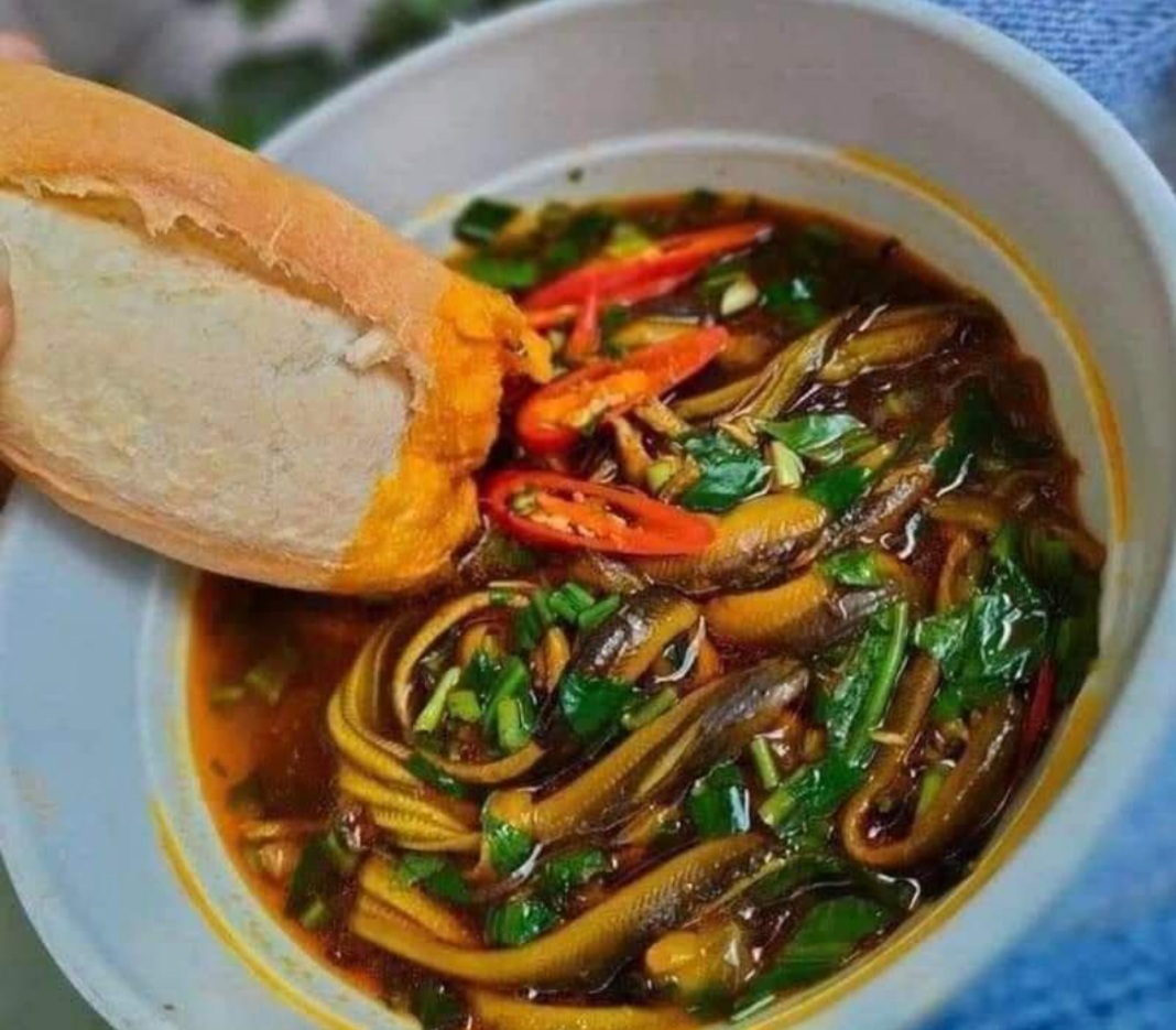 Xứ Nghệ có món lươn đồng