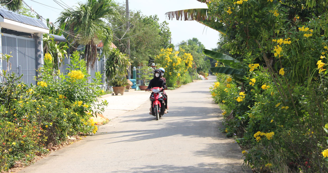 Tập trung phát triển hạ tầng giao thông nông thôn