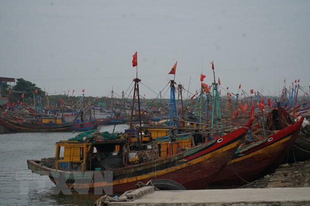 Hàng nghìn con tàu tại Thanh Hóa nằm bờ do giá xăng dầu tăng kỷ lục Tàu cá nằm bờ do giá xăng dầu và chi phí vật tư đầu vào tăng mạnh. (Ảnh: Bích Huệ/TTXVN)