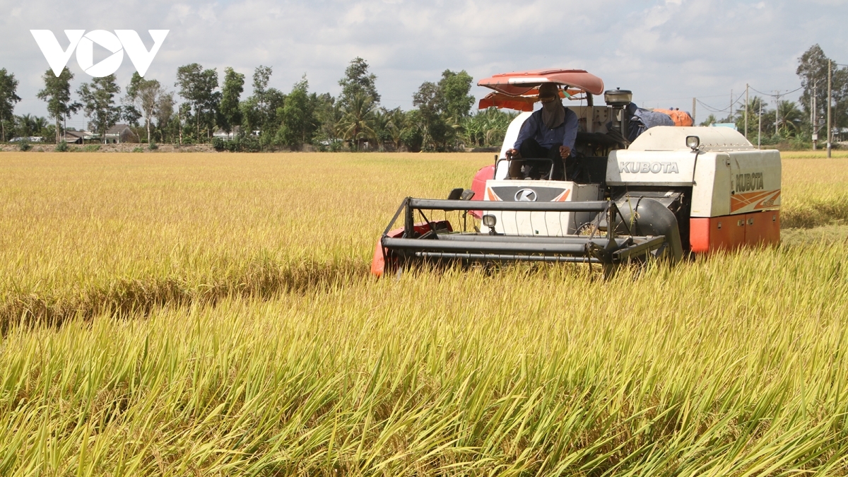 Sản xuất nông nghiệp gặp khó khăn khi giá phân bón liên tục tăng.