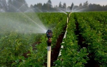 World Water Day 2022 urges greater attention to groundwater World Water Day 2022 urges greater attention to groundwater
