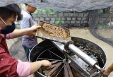 DOC sẽ sớm ra kết luận cuối cùng về chống bán giá với mật ong Việt Nam